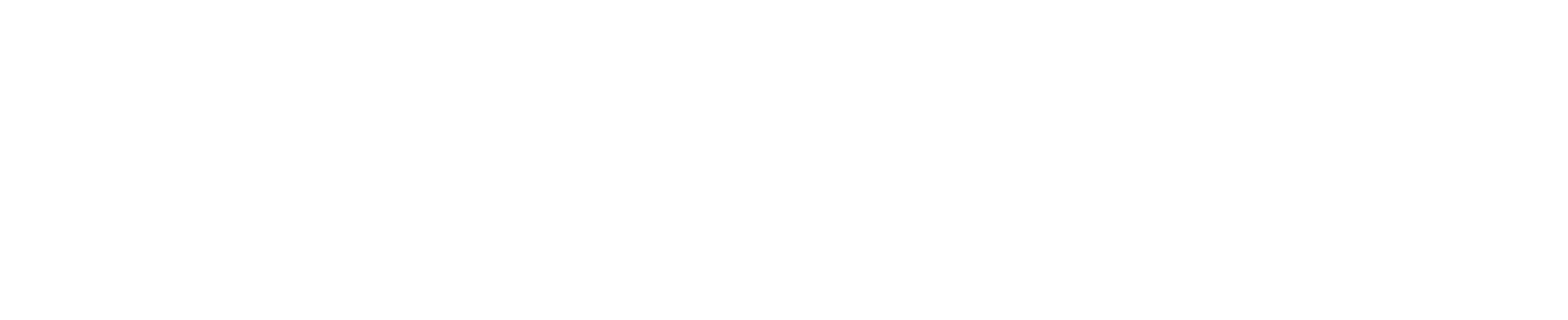 Kydeon Global Services